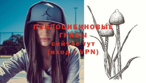не бодяженный Аркадак