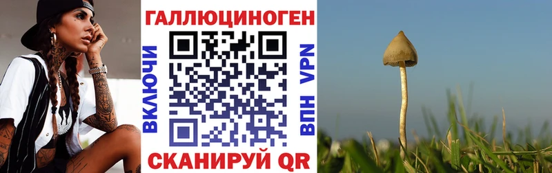 Галлюциногенные грибы мухоморы  Спасск-Дальний 